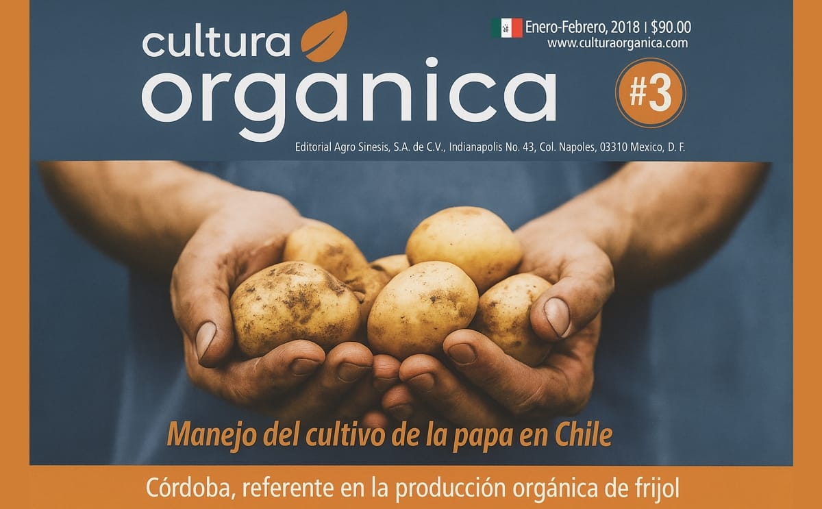 Manual del cultivo de la papa en Chile
