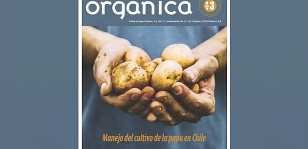 Manual del cultivo de la papa en Chile (1a Parte)