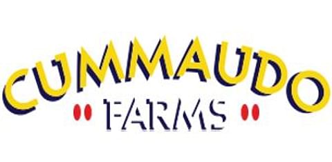 Cummaudo Farms Cummaudo Farms