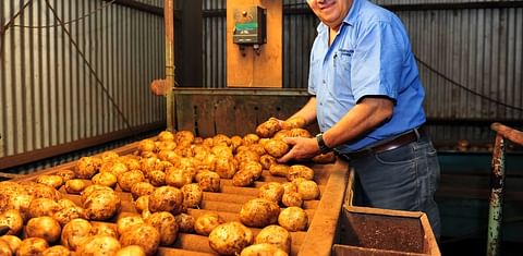 Australian potato grower Tony Cummaudo of Cummaudo Farms
