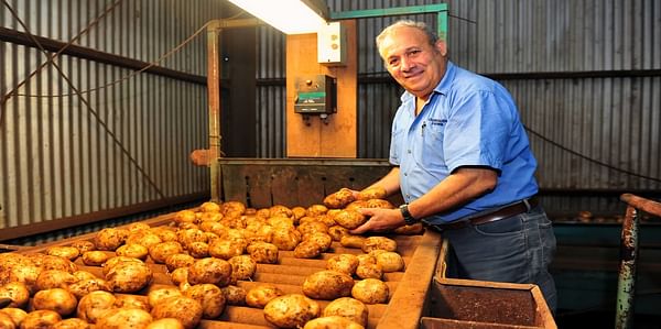 Australian potato grower Tony Cummaudo of Cummaudo Farms