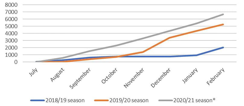 cumulative monthly imports of potatoes in Georgia in the recent three seasons, tonnes (Source: geostat.ge)