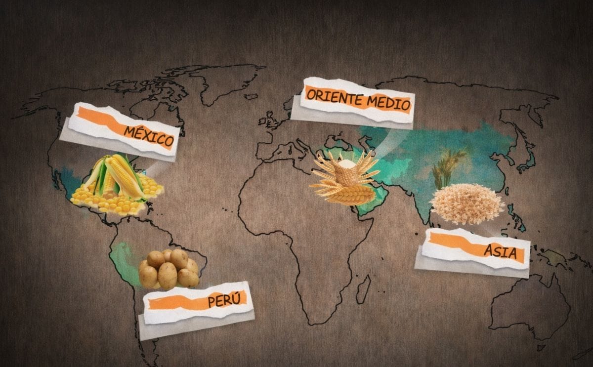 Los Andes, cuna de la papa cultivada por el hombre prehistórico Los Andes, cuna de la papa cultivada por el hombre prehistórico