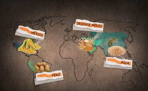 Los Andes, cuna de la papa cultivada por el hombre prehistórico Los Andes, cuna de la papa cultivada por el hombre prehistórico