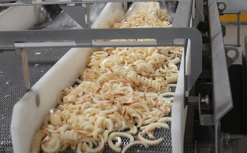 Freshly cut curly fries moving along the dewatering conveyor after hydrocutting.