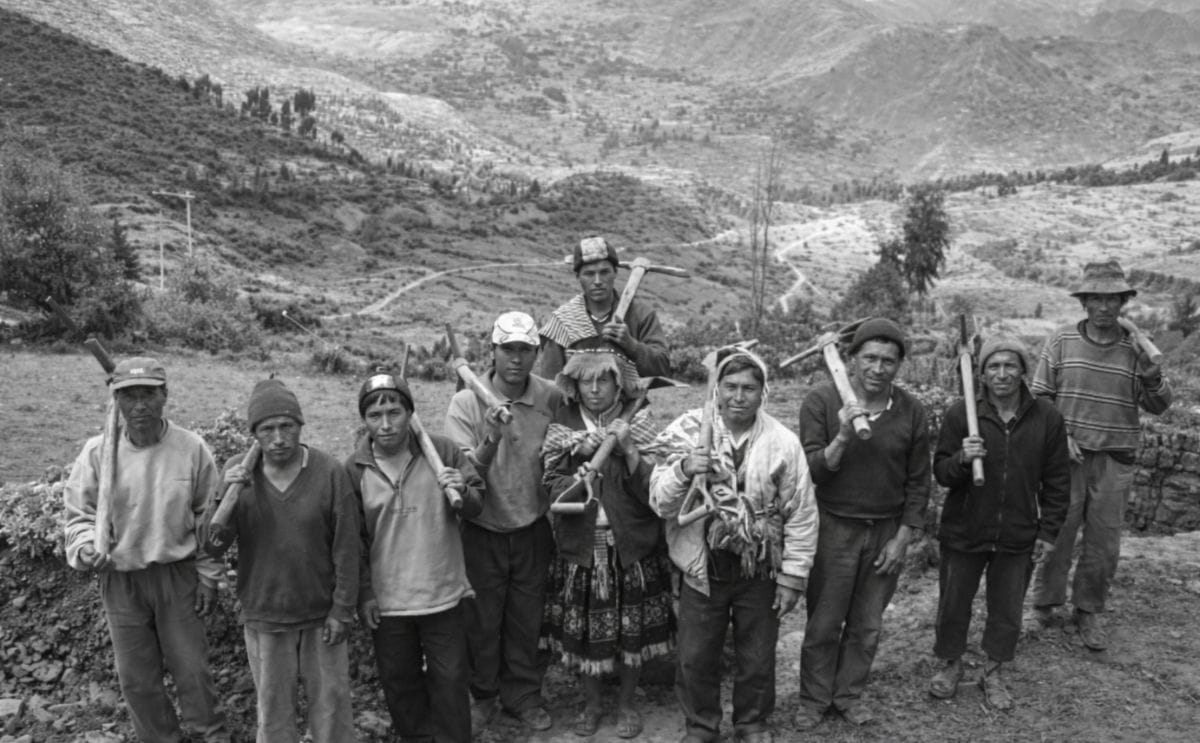 Herramienta de apoyo a la toma de decisiones para el manejo del tizón tardío diseñada para el uso de agricultores de subsistencia