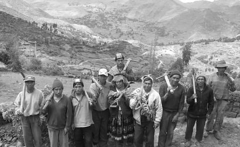 Herramienta de apoyo a la toma de decisiones para el manejo del tizón tardío diseñada para el uso de agricultores de subsistencia Herramienta de apoyo a la toma de decisiones para el manejo del tizón tardío diseñada para el uso de agricultores de subsistencia