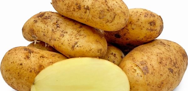 Lively demand for Cypriot early potatoes in Germany