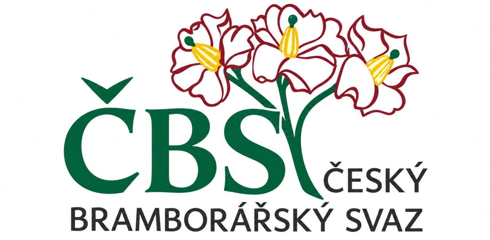 Czech Potato Association (CBS)