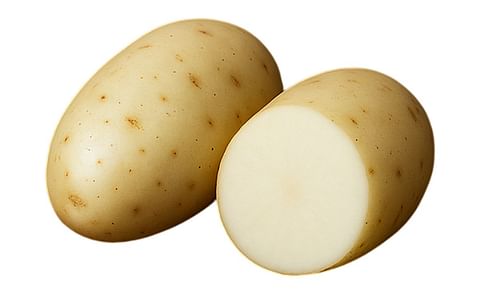 DAKOTA DIAMOND DAKOTA DIAMOND