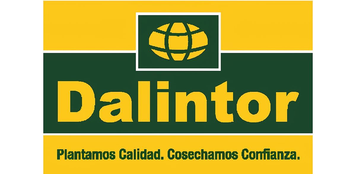 Dalintor S.A.