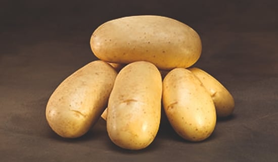 Cronos is a potato variety from Danespo suitable for the fresh market and for processing of french fries Cronos is a potato variety from Danespo suitable for the fresh market and for processing of french fries