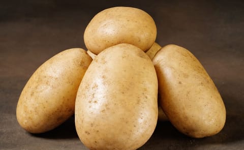 Danespo's potato variety Folva, the variety that was at the center of this dispute. Danespo's potato variety Folva, the variety that was at the center of this dispute.