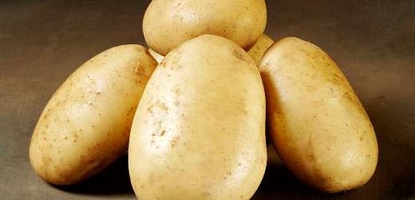 Vandel Potatoes I/S wins appeal infringement case against Knud Kristensen ApS 