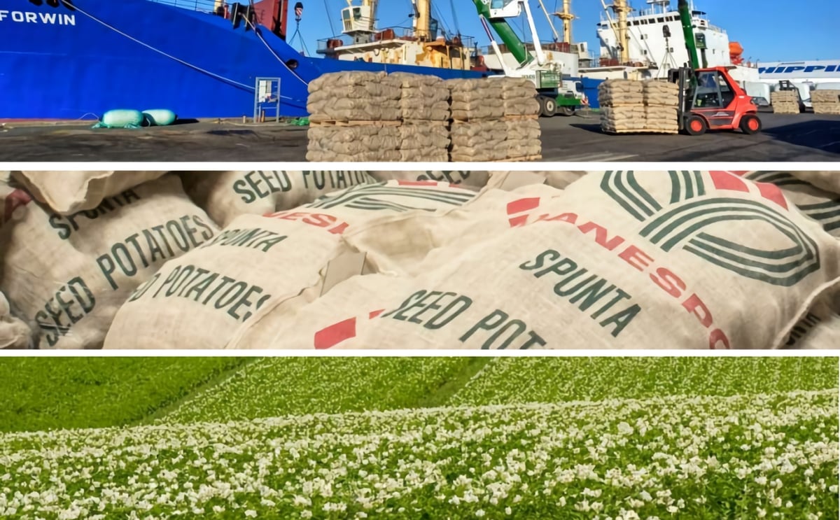 Germicopa parent Florimond Desprez acquires 49% stake in Danespo Germicopa parent Florimond Desprez acquires 49% stake in Danespo
