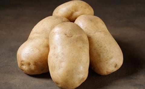 'Royal' is a French fry variety with a very high yield potential. The variety has very good frying qualities and is suitable for long time storing. (Courtesy: Danespo) 'Royal' is a French fry variety with a very high yield potential. The variety has very good frying qualities and is suitable for long time storing. (Courtesy: Danespo)