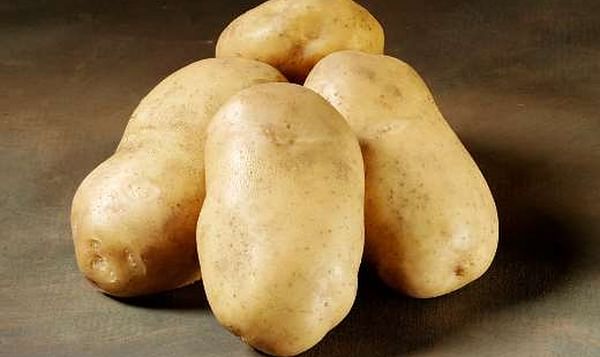 McCain picks up Danish potato variety 'Royal'