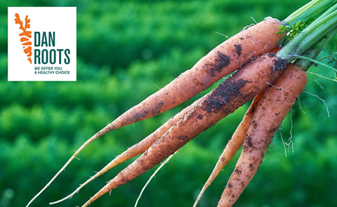 DanRoots and Newtec: A collaboration for accurate and efficient weighing and packing of a new organic snack carrot variant. DanRoots and Newtec: A collaboration for accurate and efficient weighing and packing of a new organic snack carrot variant.