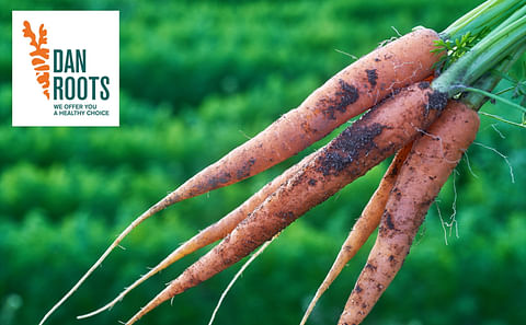 DanRoots and Newtec: A collaboration for accurate and efficient weighing and packing of a new organic snack carrot variant.