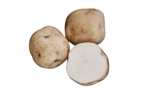 OTO-SHAKUIMO OTO-SHAKUIMO