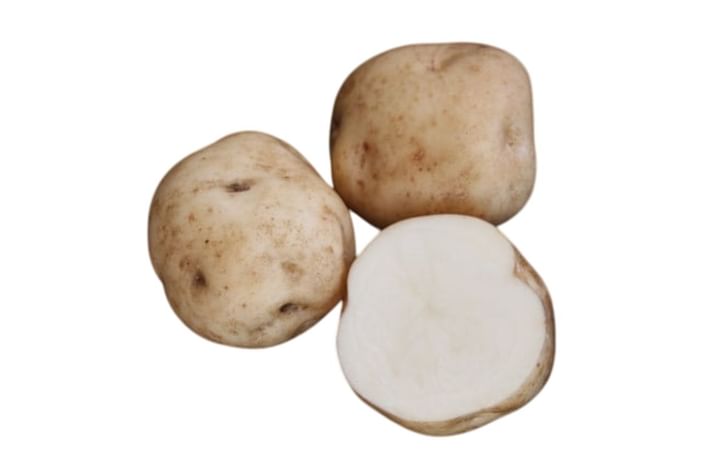 OTO-SHAKUIMO OTO-SHAKUIMO