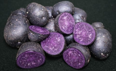 Scientists at The James Hutton Institute say discovery could help breed new colourful and improved potato varieties Scientists at The James Hutton Institute say discovery could help breed new colourful and improved potato varieties