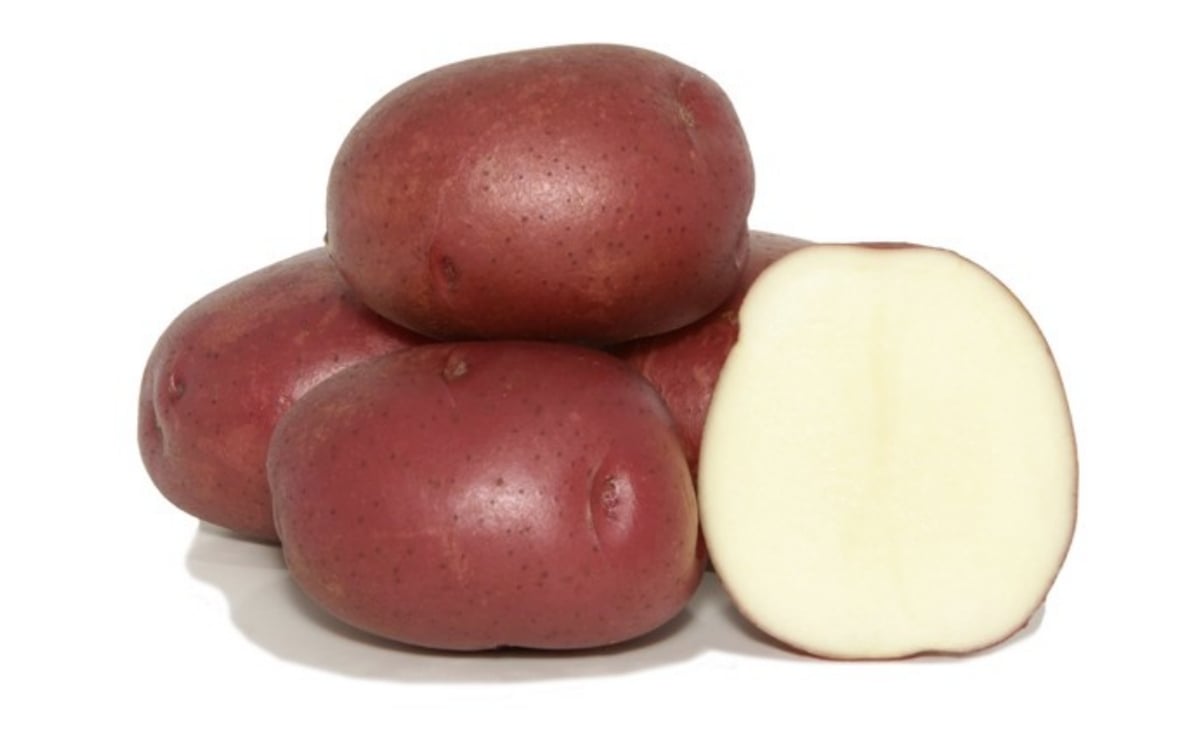 Dark Red Norland Dark Red Norland