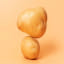 Potato variety