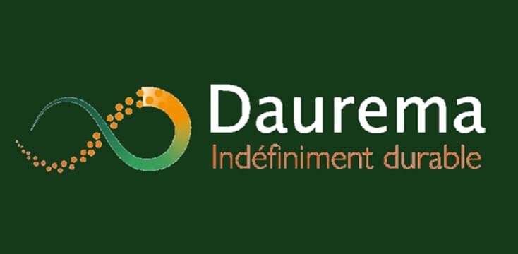 Daurema