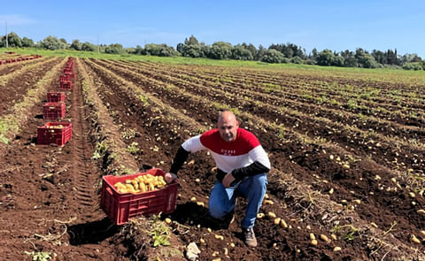 Davide Proietto Batturi Davide Proietto Batturi
