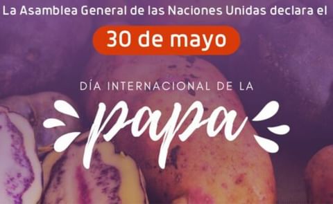 El 30 de mayo fue declarado como el día internacional de la Papa El 30 de mayo fue declarado como el día internacional de la Papa