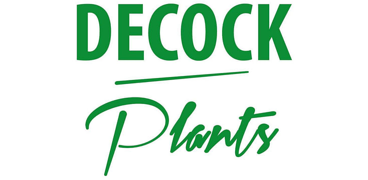 Decock Plants