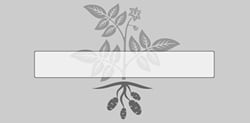 DeHydra Food Ventures LLP DeHydra Food Ventures LLP