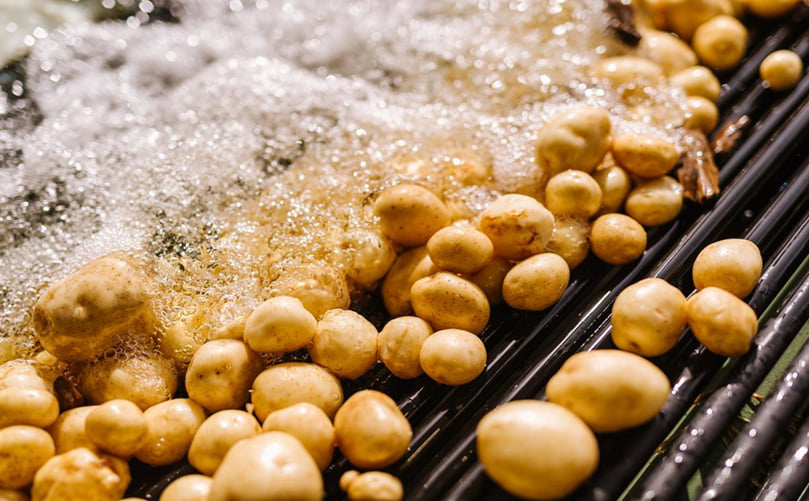 Foam Formation in Potato Processing Water Foam Formation in Potato Processing Water