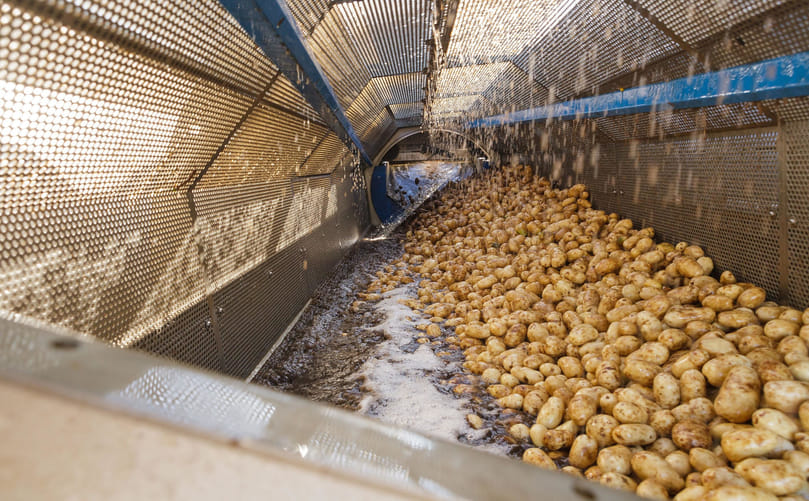 How Defoaming Agents Work in Potato Processing How Defoaming Agents Work in Potato Processing