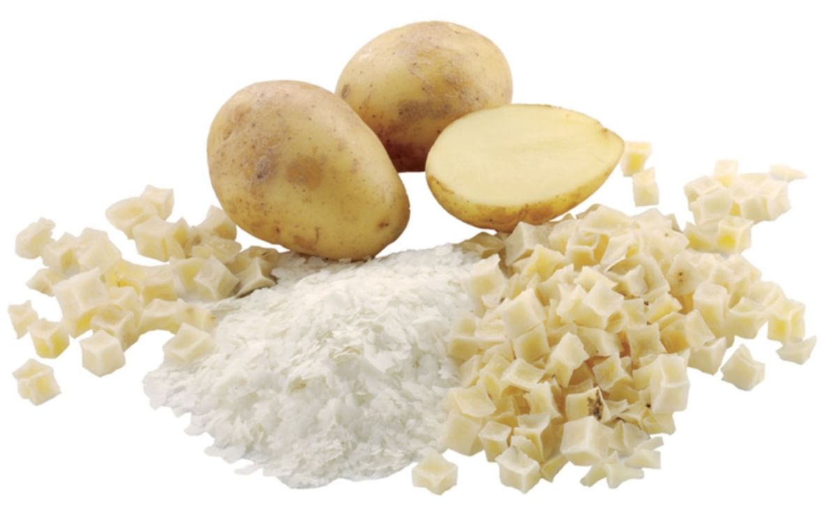 Burley/Heyburn Dehydrated Potato Plant to open early this year Burley/Heyburn Dehydrated Potato Plant to open early this year