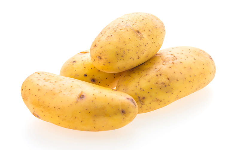 Raw Potato Selection for Specialty Food Processing Raw Potato Selection for Specialty Food Processing