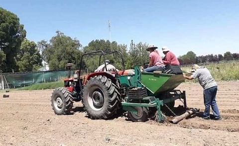 Buscan desarrollar el cultivo de papas en zonas cordilleranas de San Juan y San Rafael Buscan desarrollar el cultivo de papas en zonas cordilleranas de San Juan y San Rafael