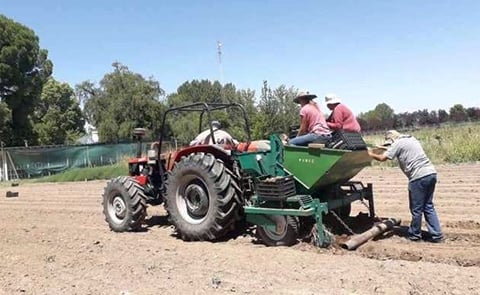 Buscan desarrollar el cultivo de papas en zonas cordilleranas de San Juan y San Rafael Buscan desarrollar el cultivo de papas en zonas cordilleranas de San Juan y San Rafael