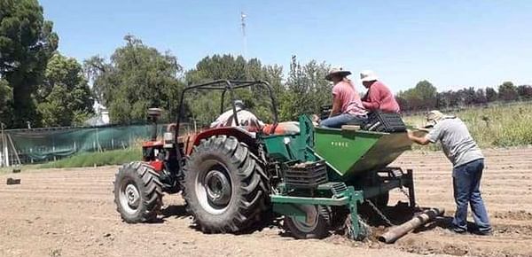 Buscan desarrollar el cultivo de papas en zonas cordilleranas de San Juan y San Rafael