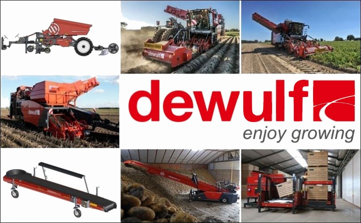 Dewulf~Miedema will continue under the name Dewulf Dewulf~Miedema will continue under the name Dewulf
