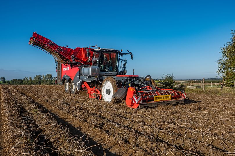 Dewulf Enduro Self-propelled 4-row sieving harvester