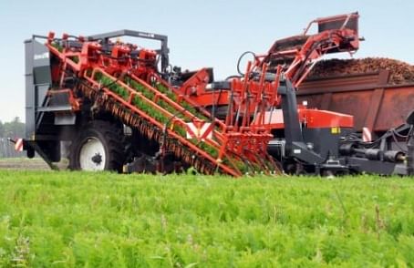 Dewulf GKIIISE: 3-row trailed carrot harvester with hedgehog belt Dewulf GKIIISE: 3-row trailed carrot harvester with hedgehog belt