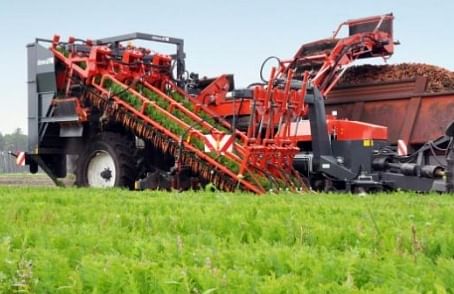 Dewulf GKIIISE: 3-row trailed carrot harvester with hedgehog belt 