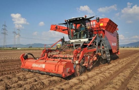 Dewulf Kwatro: 4-row self-propelled sieving harvester with cleaning unit and bunker
