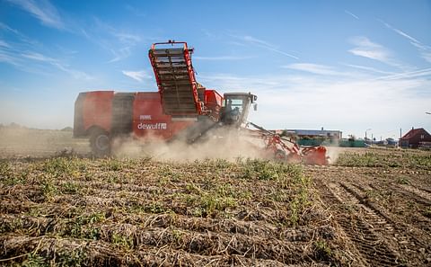 The Kwatro, Dewulf's self-propelled 4-row sieving potato harvester, will be shown at Agritechnica 2019 equipped with the new, improved haulm roller system and the recently launched 2-part bunker with sieving discharge elevator.