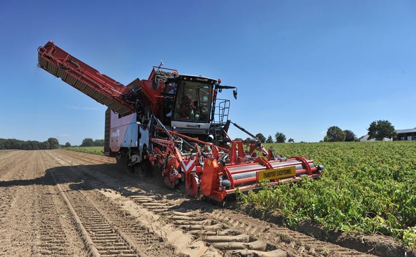 Dewulf Kwatro: 4-row self-propelled sieving harvester with Flexyclean® and bunker potato harvester