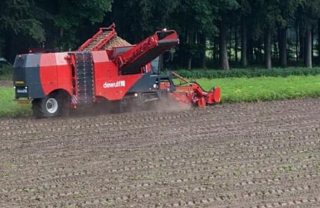 Dewulf Kwatro - 4-row self-propelled sieving harvester