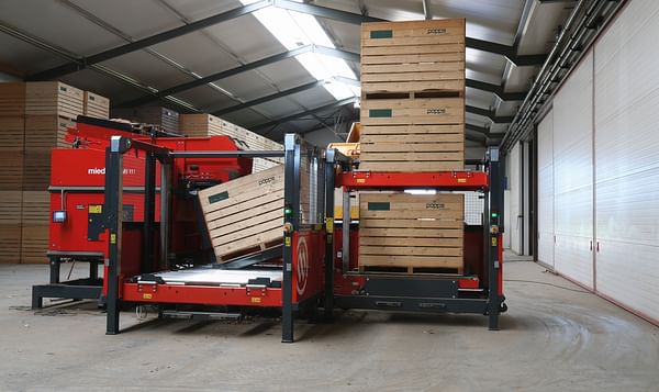 Dewulf MB 111 Box filler with a capacity of more than 80 boxes per hour