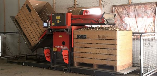 MB 55 Box filler with a capacity of 45-65 boxes per hour